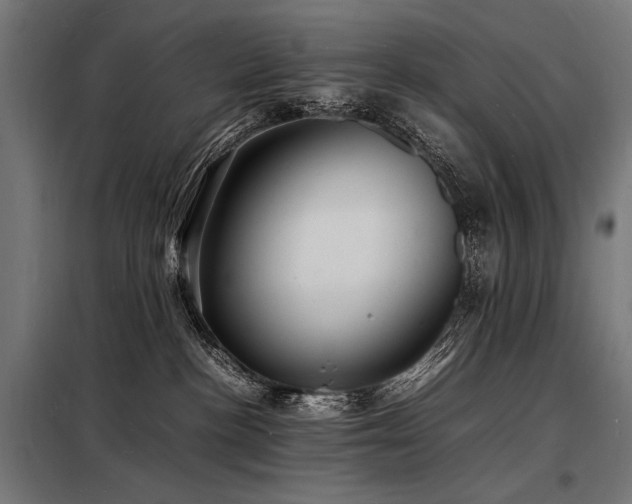 X0000098180188200804241230