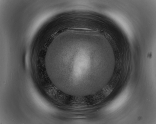 X0000098180189200804241230