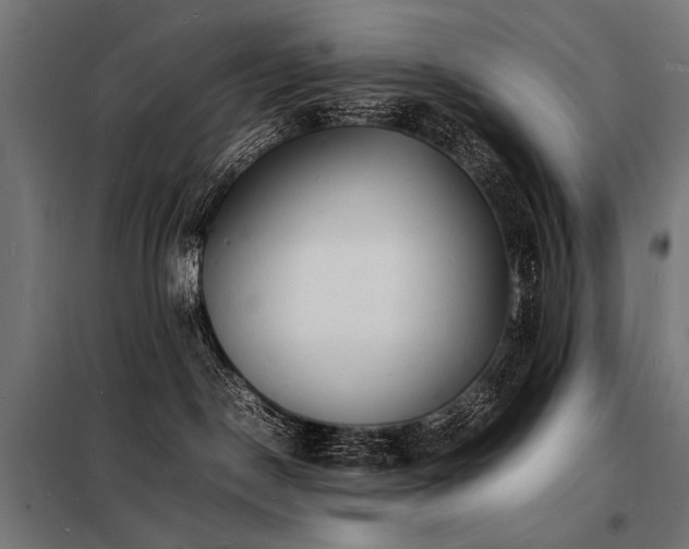X0000098180190200804241230