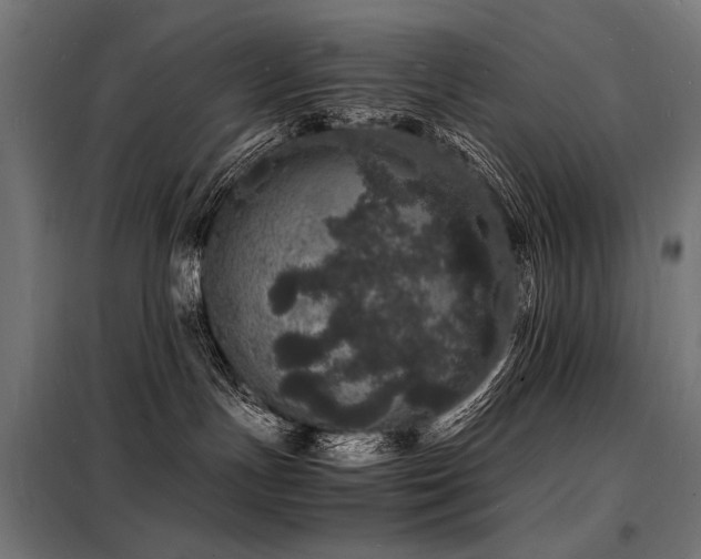 X0000098180191200804241230