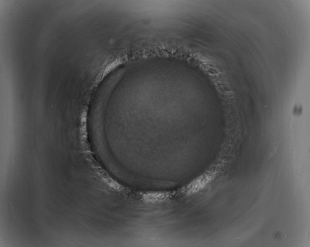 X0000098180192200804241230