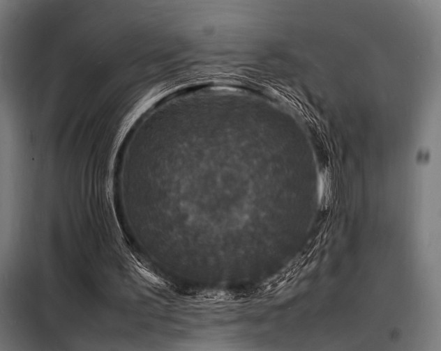 X0000098180195200804241229