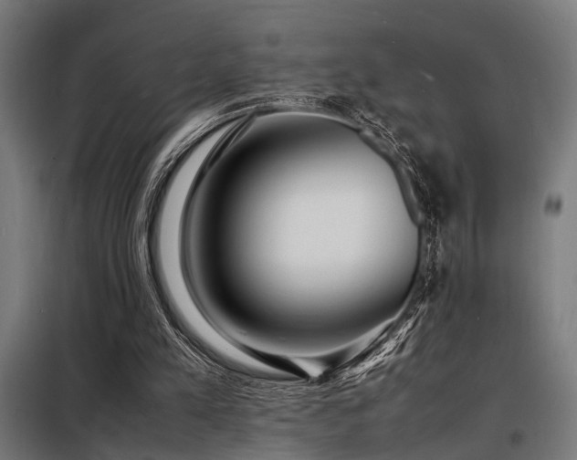 X0000098180197200804241229
