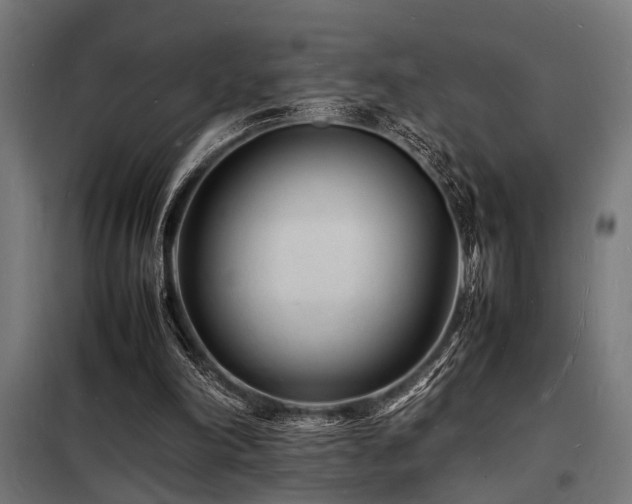 X0000098180198200804241229