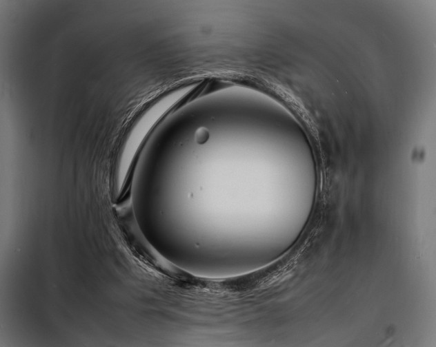 X0000098180201200804241229