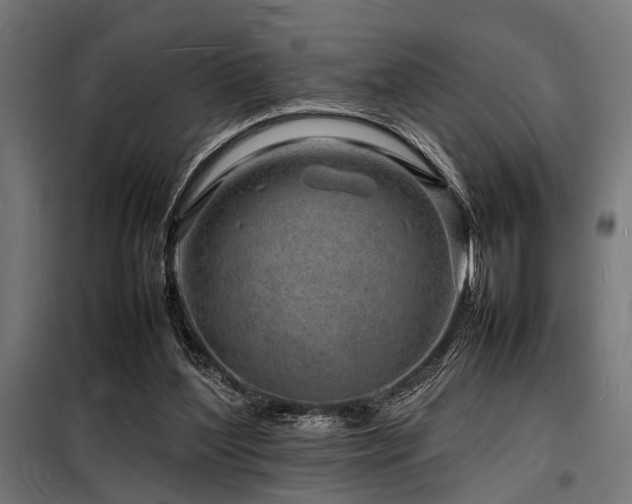X0000098180204200804241229