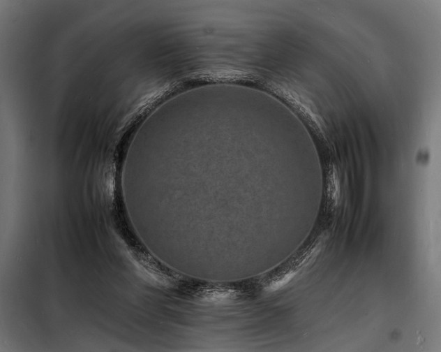 X0000098180206200804241229