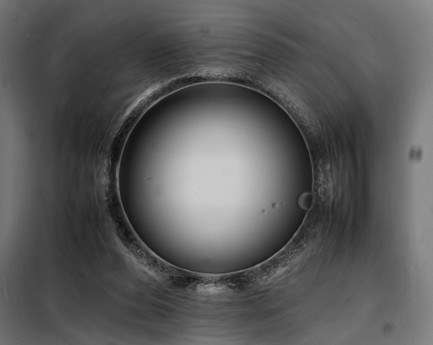 X0000098180208200804241229
