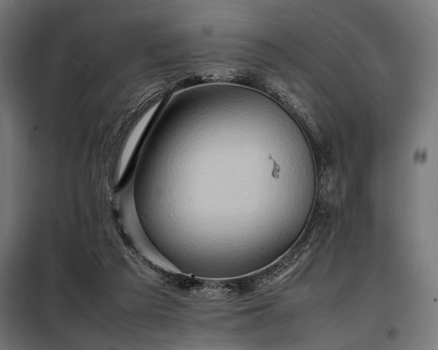 X0000098180209200804241229
