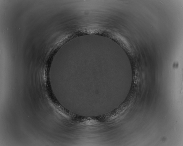X0000098180210200804241229
