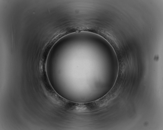 X0000098180214200804241229