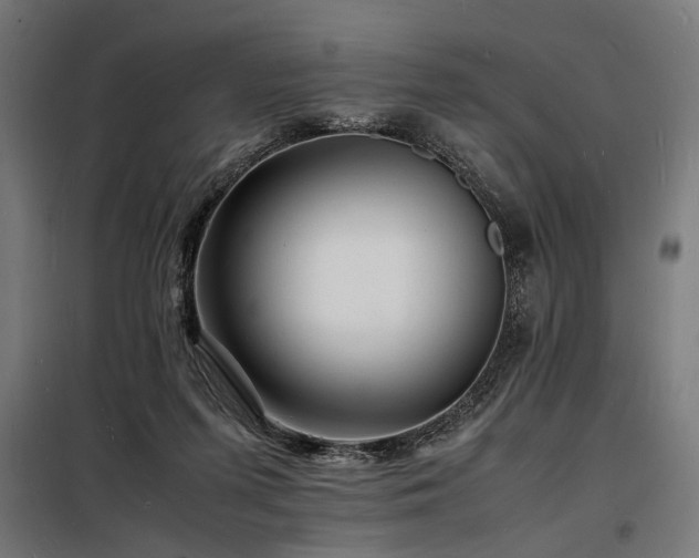 X0000098180215200804241229