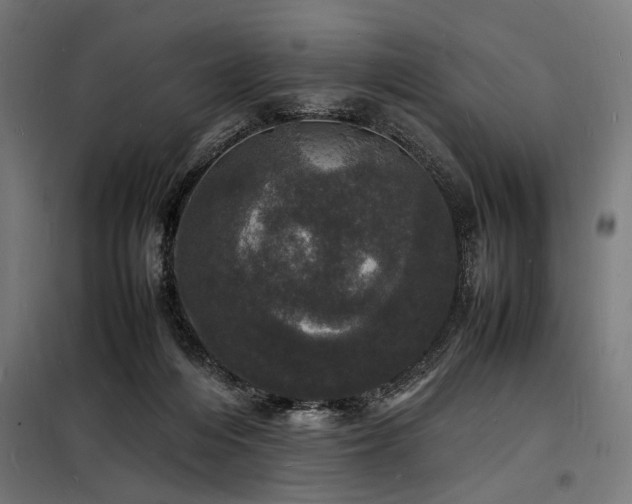 X0000098180216200804241229