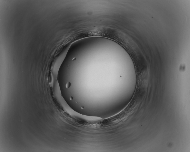 X0000098180217200804241229