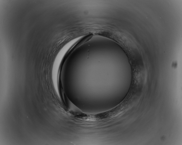 X0000098180219200804241229