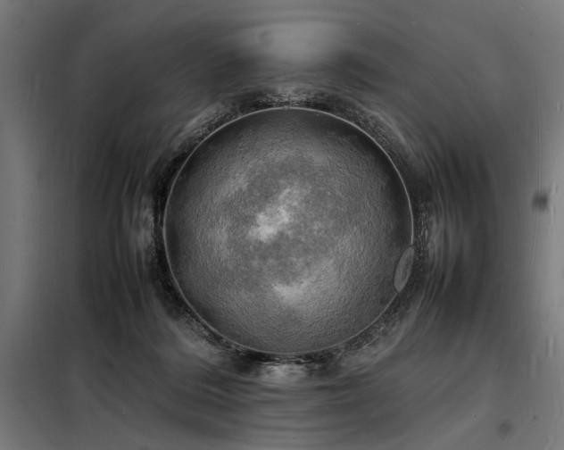 X0000098180220200804241229