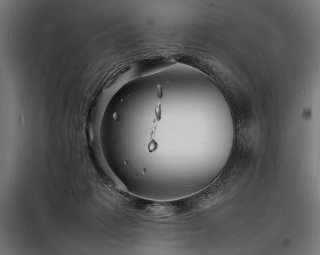 X0000098180221200804241229
