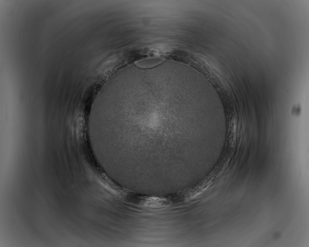 X0000098180222200804241229