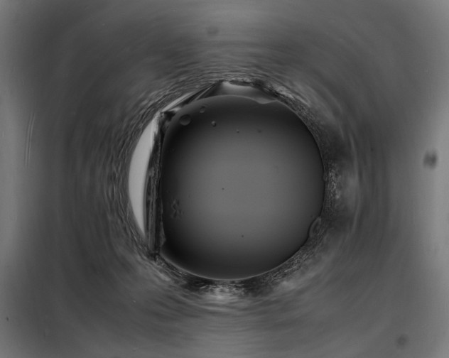 X0000098180223200804241229