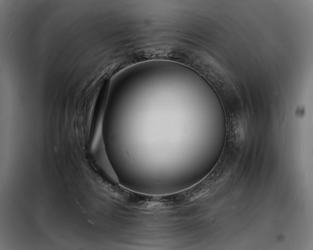 X0000098180224200804241229