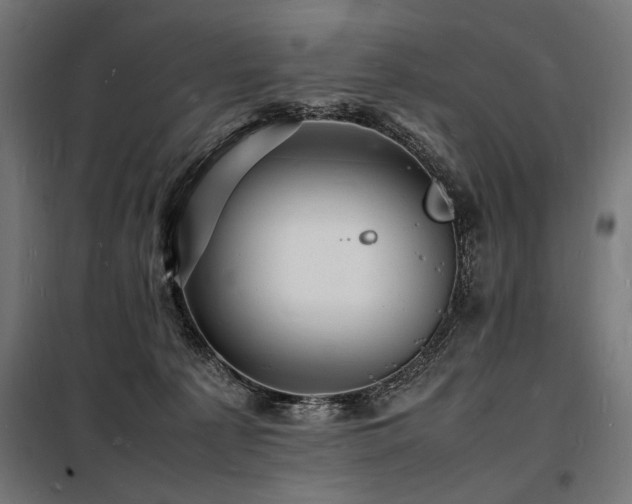 X0000098180225200804241229