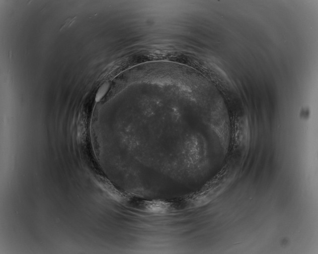 X0000098180226200804241229