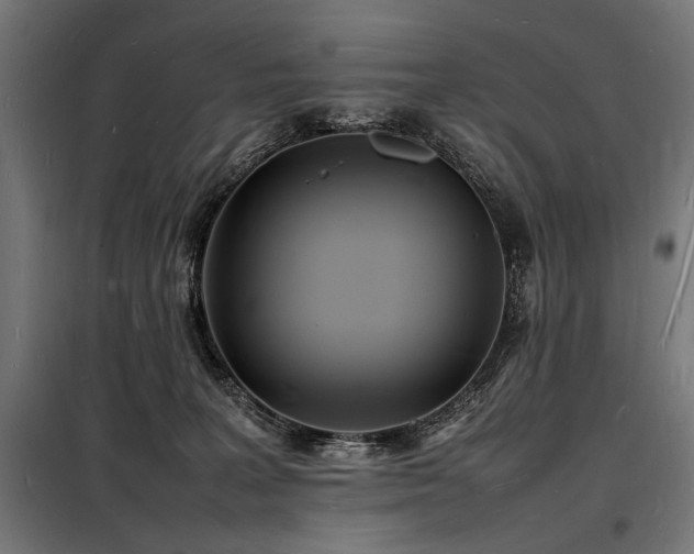 X0000098180227200804241229