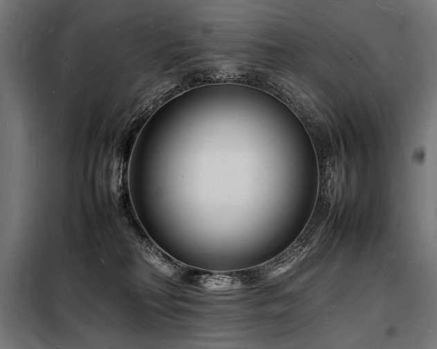 X0000098180230200804241228