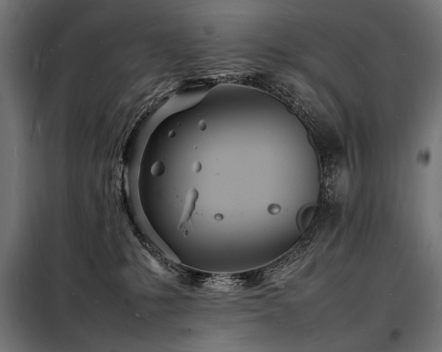 X0000098180231200804241228