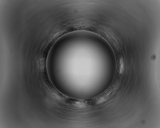 X0000098180232200804241228