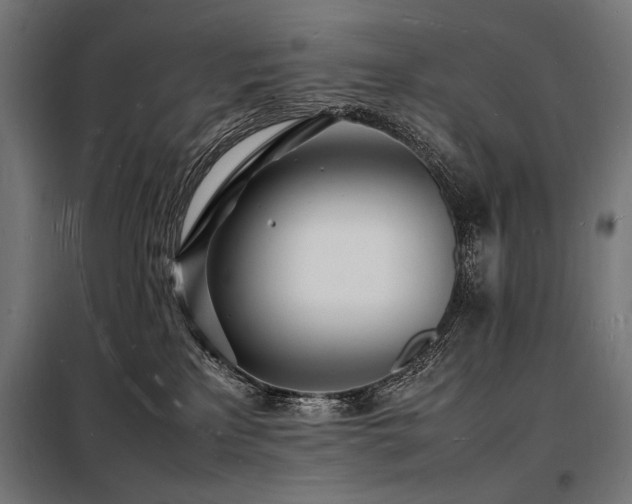 X0000098180233200804241228