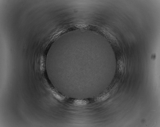 X0000098180234200804241228