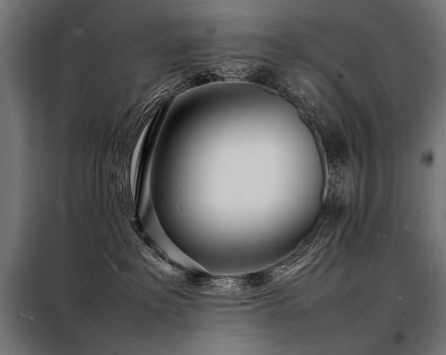X0000098180237200804241228