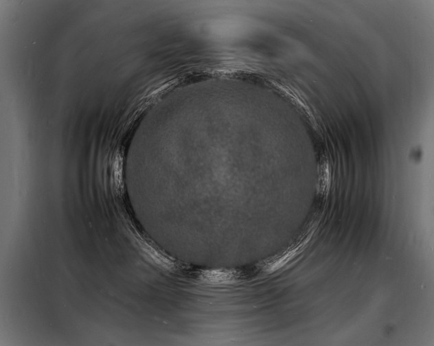 X0000098180238200804241228
