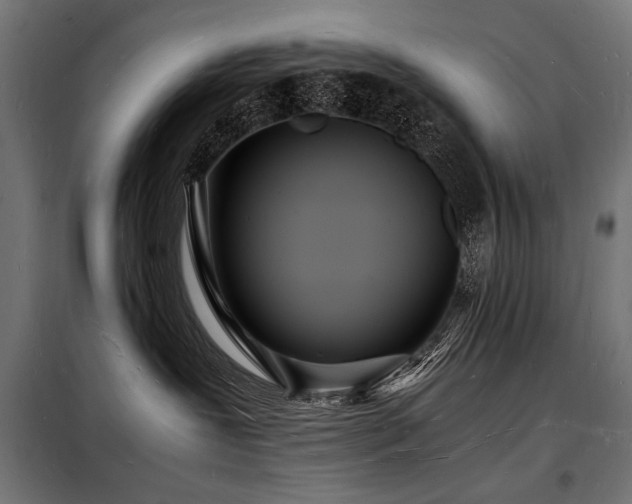 X0000098180239200804241228