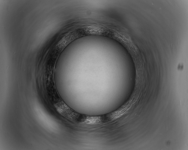 X0000098180240200804241228