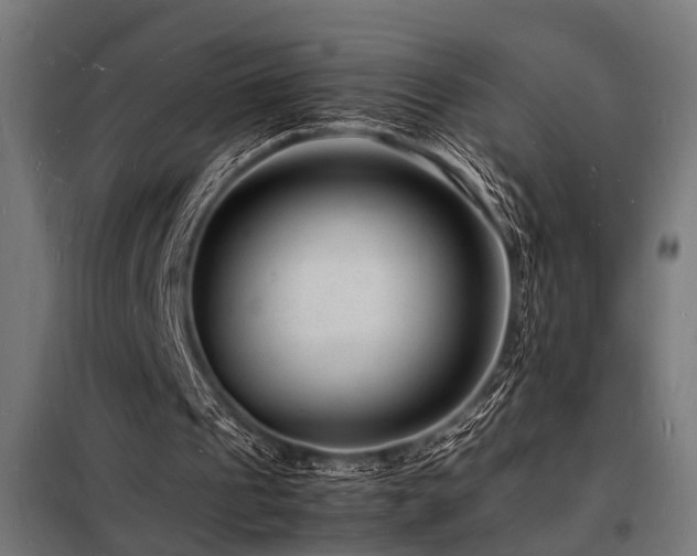 X0000098180241200804241228