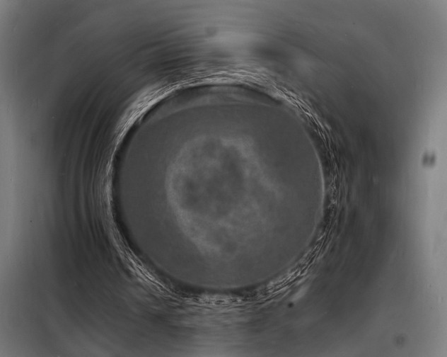 X0000098180242200804241228