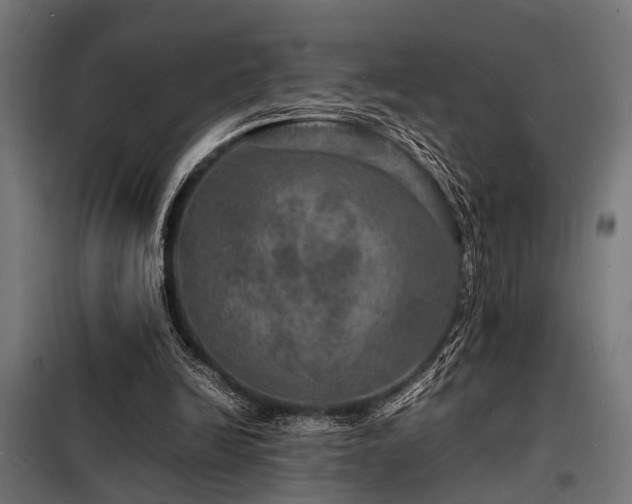 X0000098180246200804241228