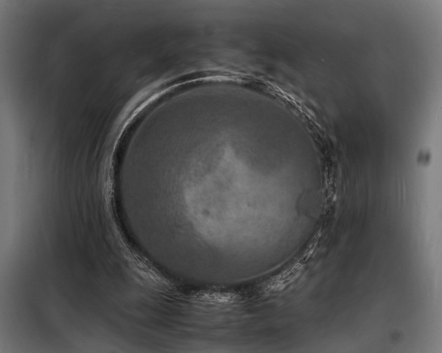 X0000098180247200804241228