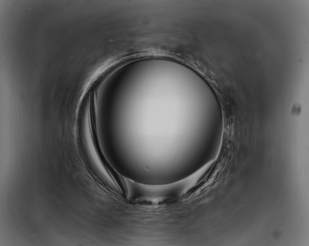 X0000098180248200804241228