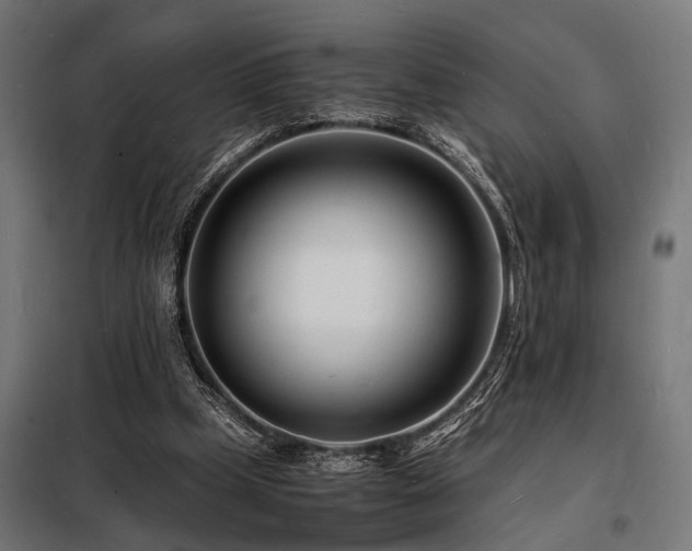 X0000098180249200804241228