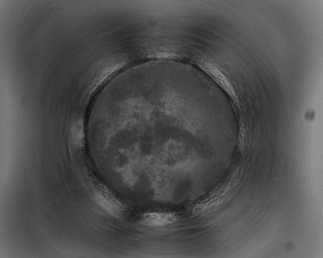 X0000098180251200804241228