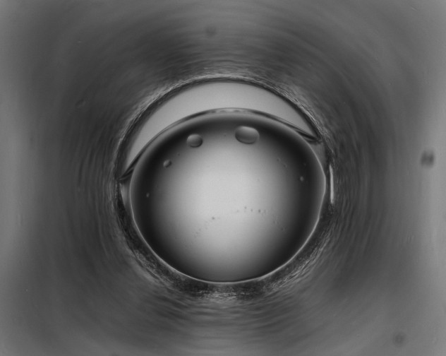 X0000098180252200804241228