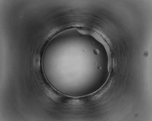 X0000098180253200804241228