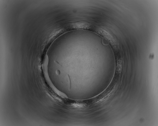 X0000098180255200804241228