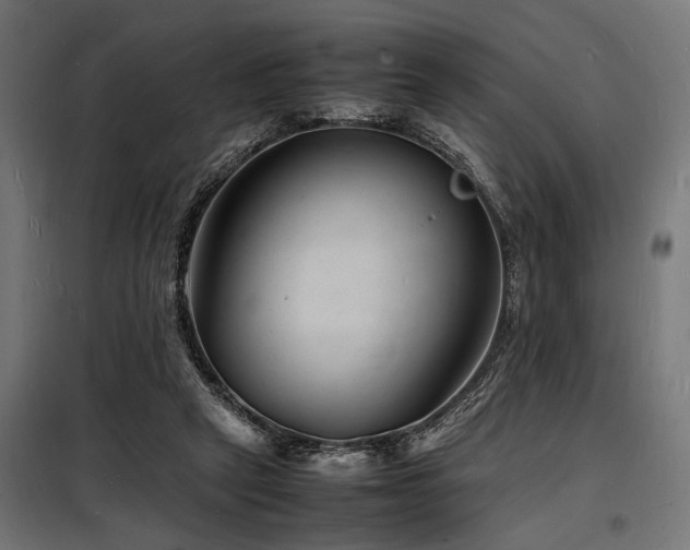 X0000098180257200804241228
