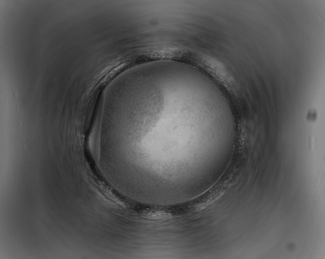 X0000098180258200804241228