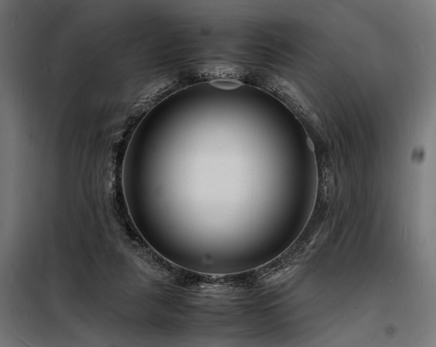 X0000098180259200804241228