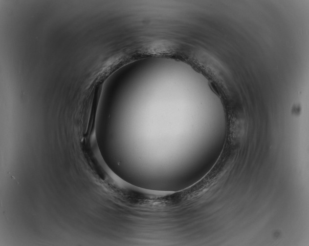 X0000098180260200804241228